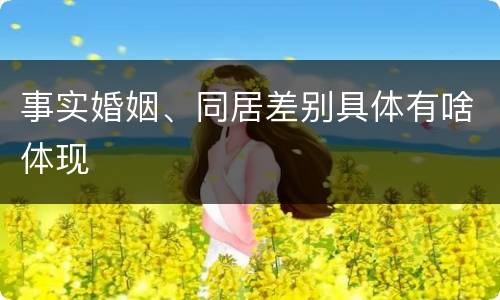事实婚姻、同居差别具体有啥体现