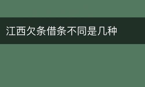 江西欠条借条不同是几种