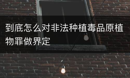 到底怎么对非法种植毒品原植物罪做界定