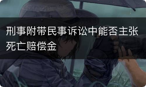 刑事附带民事诉讼中能否主张死亡赔偿金