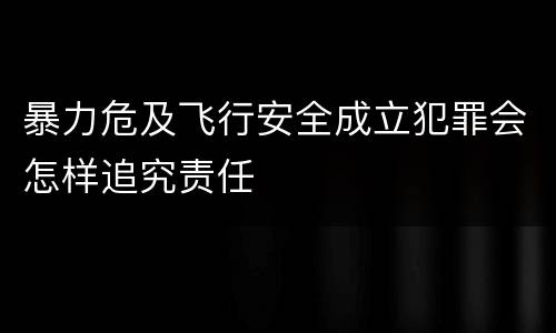 暴力危及飞行安全成立犯罪会怎样追究责任