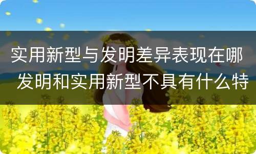 实用新型与发明差异表现在哪 发明和实用新型不具有什么特性
