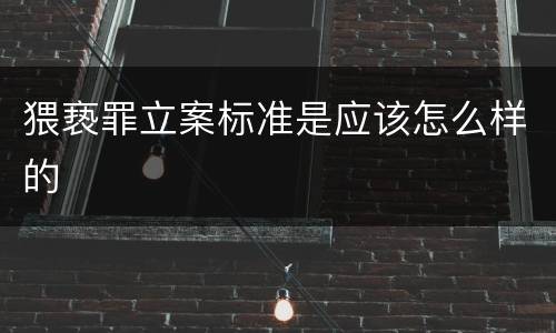 猥亵罪立案标准是应该怎么样的