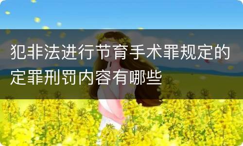 犯非法进行节育手术罪规定的定罪刑罚内容有哪些
