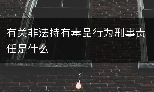 有关非法持有毒品行为刑事责任是什么