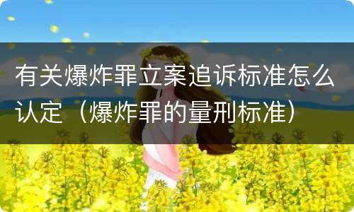 有关爆炸罪立案追诉标准怎么认定（爆炸罪的量刑标准）