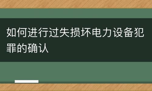 如何进行过失损坏电力设备犯罪的确认