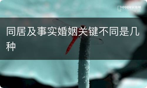 同居及事实婚姻关键不同是几种