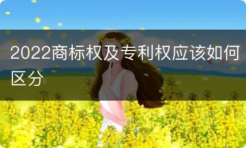 2022商标权及专利权应该如何区分