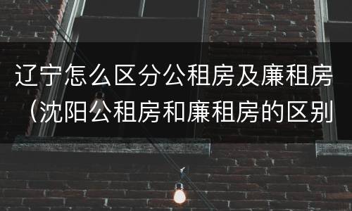 辽宁怎么区分公租房及廉租房（沈阳公租房和廉租房的区别）