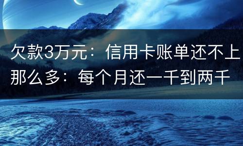 欠款3万元：信用卡账单还不上那么多：每个月还一千到两千元：请问还要做坐牢吗