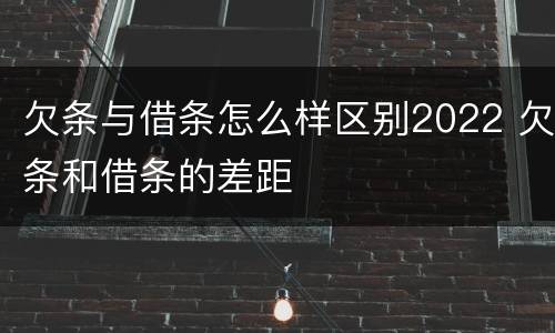 欠条与借条怎么样区别2022 欠条和借条的差距