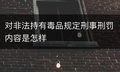 对非法持有毒品规定刑事刑罚内容是怎样