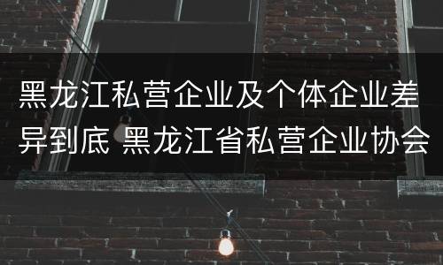 黑龙江私营企业及个体企业差异到底 黑龙江省私营企业协会