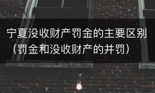 宁夏没收财产罚金的主要区别（罚金和没收财产的并罚）
