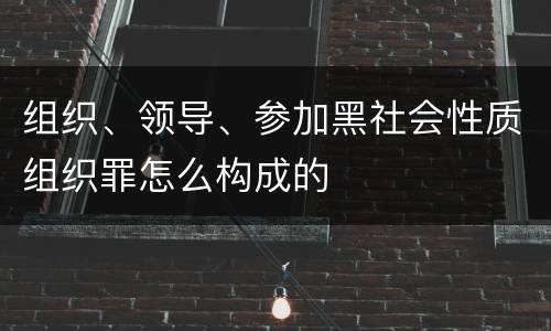 组织、领导、参加黑社会性质组织罪怎么构成的