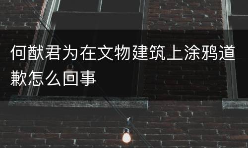 何猷君为在文物建筑上涂鸦道歉怎么回事