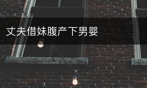 丈夫借妹腹产下男婴