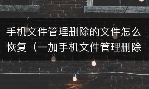 手机文件管理删除的文件怎么恢复（一加手机文件管理删除的文件怎么恢复）