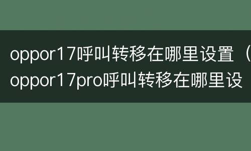 oppor17呼叫转移在哪里设置（oppor17pro呼叫转移在哪里设置）