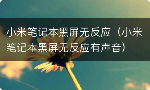 小米笔记本黑屏无反应（小米笔记本黑屏无反应有声音）