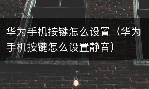 华为手机按键怎么设置（华为手机按键怎么设置静音）