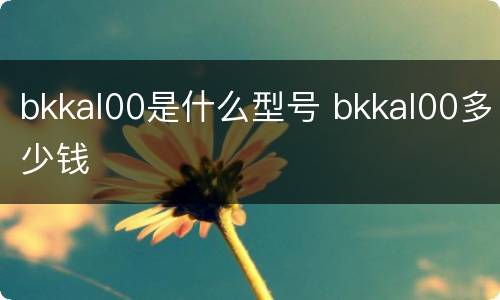 bkkal00是什么型号 bkkal00多少钱