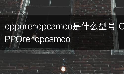 opporenopcamoo是什么型号 OPPOrenopcamoo