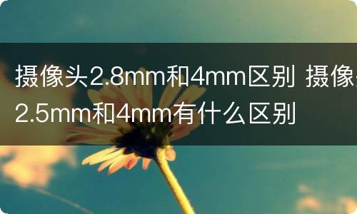 摄像头2.8mm和4mm区别 摄像头2.5mm和4mm有什么区别