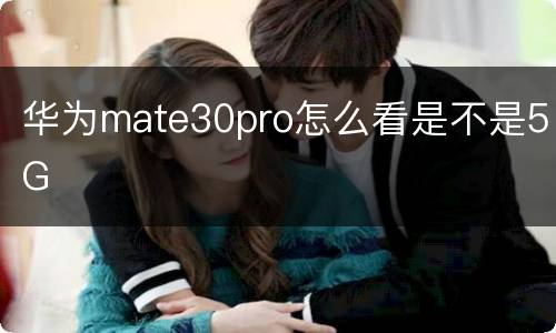 华为mate30pro怎么看是不是5G