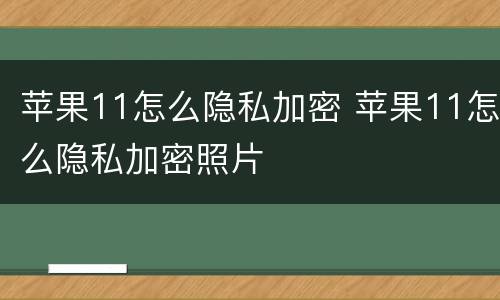 苹果11怎么隐私加密 苹果11怎么隐私加密照片