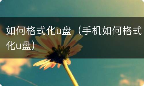 如何格式化u盘（手机如何格式化u盘）