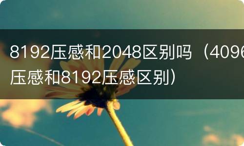 8192压感和2048区别吗（4096压感和8192压感区别）