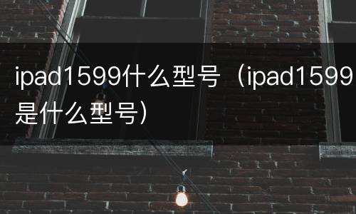 ipad1599什么型号（ipad1599是什么型号）