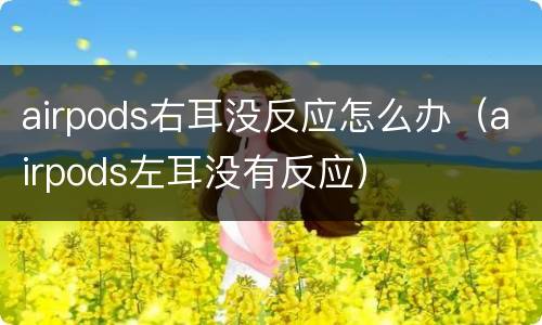 airpods右耳没反应怎么办（airpods左耳没有反应）