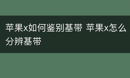 苹果x如何鉴别基带 苹果x怎么分辨基带