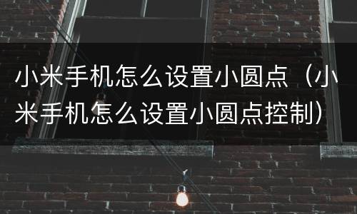 小米手机怎么设置小圆点（小米手机怎么设置小圆点控制）