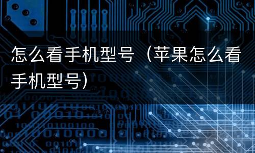 怎么看手机型号（苹果怎么看手机型号）