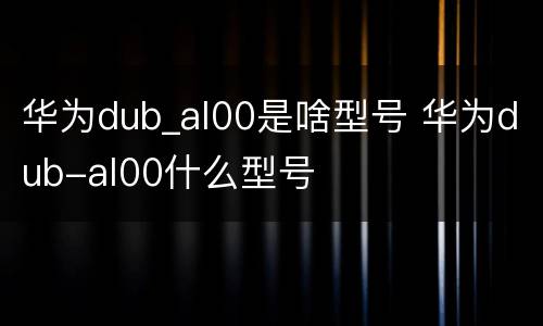 华为dub_al00是啥型号 华为dub-al00什么型号