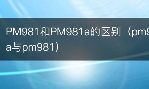 PM981和PM981a的区别（pm981a与pm981）