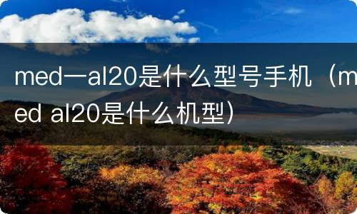 med一al20是什么型号手机（med al20是什么机型）