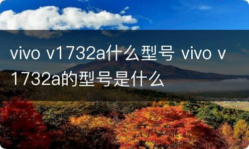 vivo v1732a什么型号 vivo v1732a的型号是什么