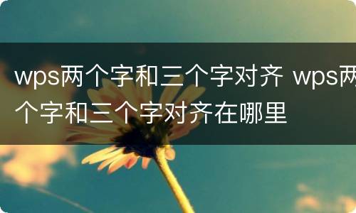 wps两个字和三个字对齐 wps两个字和三个字对齐在哪里