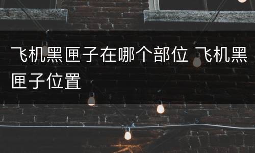 飞机黑匣子在哪个部位 飞机黑匣子位置