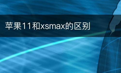 苹果11和xsmax的区别