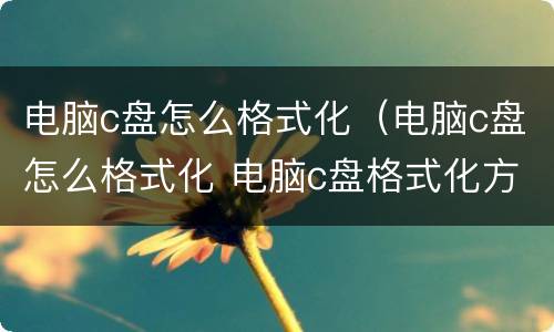 电脑c盘怎么格式化（电脑c盘怎么格式化 电脑c盘格式化方法）