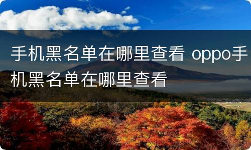 手机黑名单在哪里查看 oppo手机黑名单在哪里查看