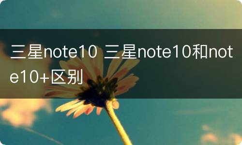 三星note10 三星note10和note10+区别