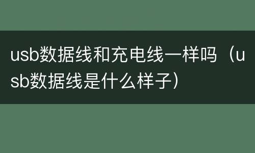 usb数据线和充电线一样吗（usb数据线是什么样子）