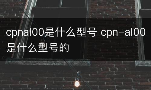 cpnal00是什么型号 cpn-al00是什么型号的